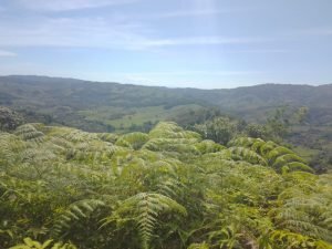 WhatsApp Image 2023-01-17 at 8.00.20 AM