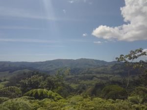 WhatsApp Image 2023-01-17 at 8.00.23 AM