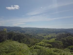 WhatsApp Image 2023-01-17 at 8.00.25 AM