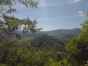 WhatsApp Image 2023-01-17 at 8.00.30 AM (1)