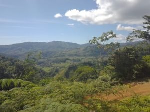 WhatsApp Image 2023-01-17 at 8.00.30 AM