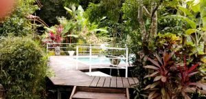 12-2_f1c884f4-ea90-4a8c-81ca-47bed8700512