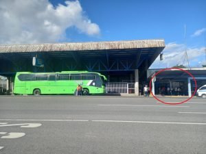 Green bus.