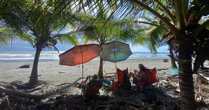 Umbrellas on a beach.