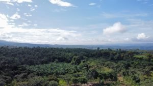 Foto 19-4-22 07 27 09