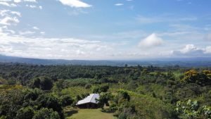 Foto 19-4-22 07 27 46