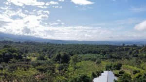 Foto 19-4-22 07 27 47