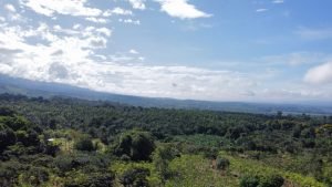 Foto 19-4-22 07 27 48