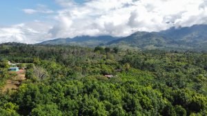 Foto 19-4-22 07 27 50