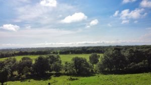 Foto 2-9-23 7 55 20 a. m