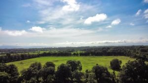 Foto 2-9-23 7 55 44 a. m