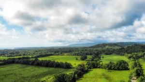 Foto 2-9-23 8 16 54 a. m