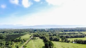 Foto 2-9-23 8 19 48 a. m