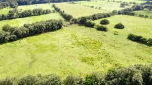 Foto 2-9-23 8 20 48 a. m