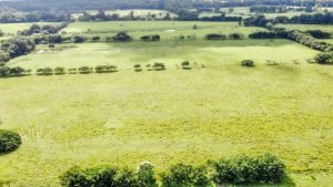 Foto 2-9-23 8 21 28 a. m