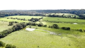 Foto 2-9-23 8 22 04 a. m