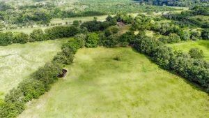 Foto 2-9-23 8 24 20 a. m