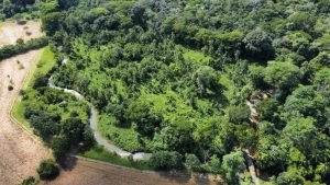 Foto 2-9-23 8 31 56 a. m