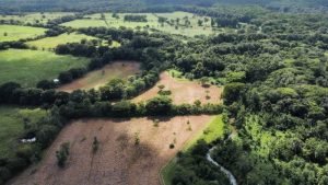 Foto 2-9-23 8 32 26 a. m