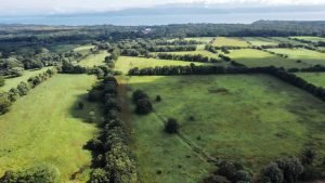 Foto 2-9-23 8 33 24 a. m