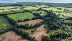 Foto 2-9-23 8 34 00 a. m