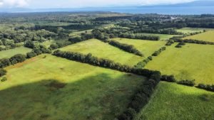 Foto 2-9-23 8 36 28 a. m