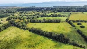 Foto 2-9-23 8 40 28 a. m