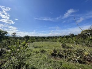 Foto 9-4-22 08 21 29