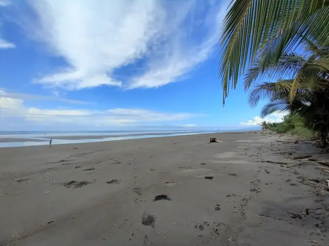 Costa Rica’s Dark Sands