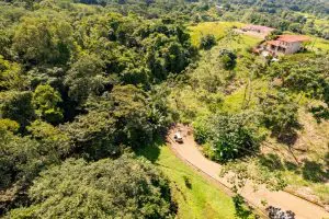 New-17