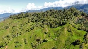 Photo 9-7-23, 9 05 06 AM