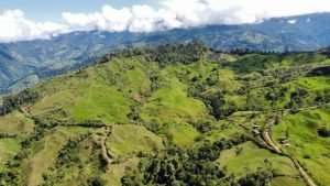 Photo 9-7-23, 9 08 02 AM