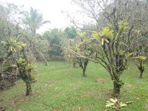 WhatsApp Image 2022-11-09 at 7.37.17 AM