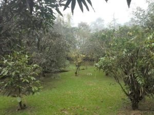 WhatsApp Image 2022-11-09 at 7.37.20 AM