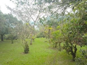 WhatsApp Image 2022-11-09 at 7.37.33 AM