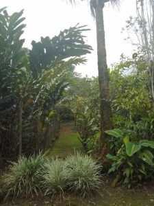 WhatsApp Image 2022-11-09 at 7.37.35 AM