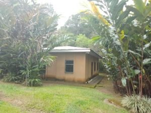 WhatsApp Image 2022-11-09 at 7.38.03 AM _1_