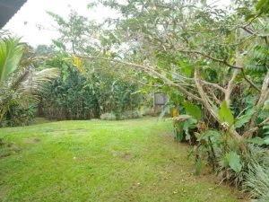 WhatsApp Image 2022-11-09 at 7.38.03 AM _2_