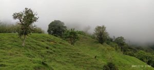 WhatsApp Image 2023-01-16 at 9.27.58 AM