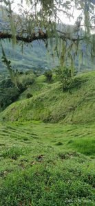 WhatsApp Image 2023-01-16 at 9.29.09 AM