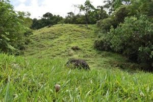 WhatsApp Image 2023-01-16 at 9.29.27 AM