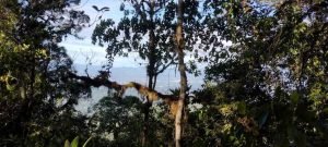 WhatsApp Image 2023-01-16 at 9.30.04 AM