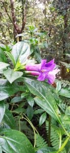 WhatsApp Image 2023-01-16 at 9.30.13 AM