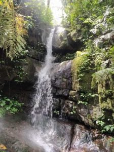 WhatsApp Image 2023-01-16 at 9.30.51 AM _1_