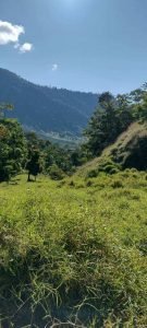 WhatsApp Image 2023-01-16 at 9.30.51 AM _2_