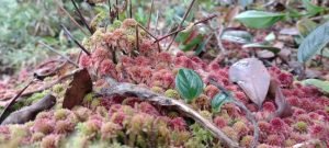 WhatsApp Image 2023-01-16 at 9.30.52 AM