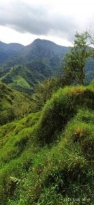 WhatsApp Image 2023-01-16 at 9.30.52 AM _1_