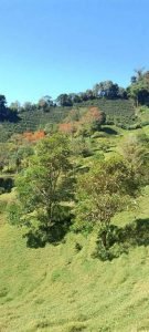 WhatsApp Image 2023-02-04 at 11.03.01 AM