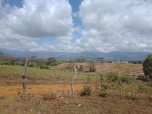 WhatsApp Image 2023-02-08 at 3.45.10 PM