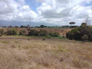 WhatsApp Image 2023-02-08 at 3.45.20 PM